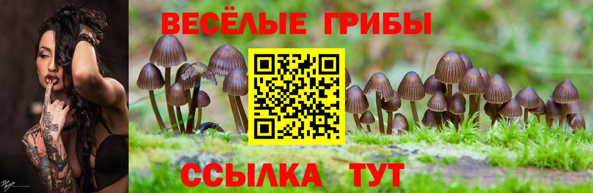 Галлюциногенные грибы MAGIC MUSHROOMS Керчь